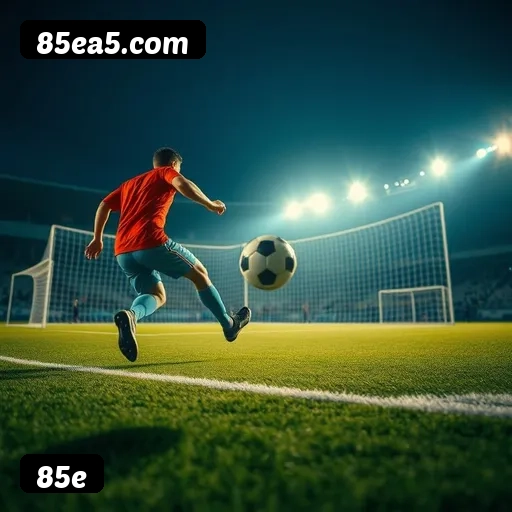Níveis do programa VIP da 85e